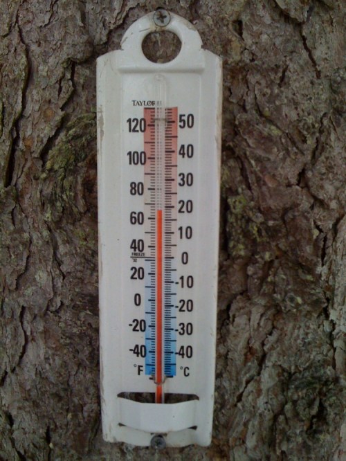 Mainethermometer