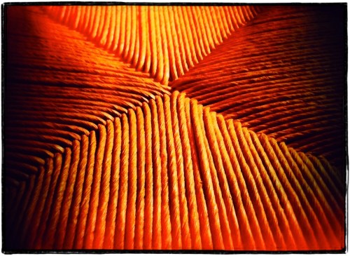 Hotseat2bsizedborder