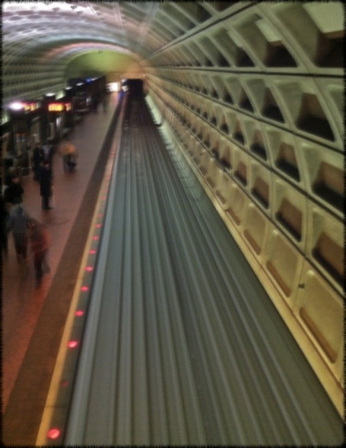 Img_5942bsizedborder