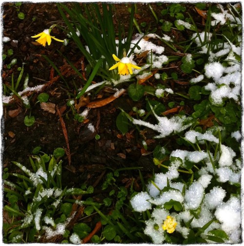 Img_6239bsizedbordervariant