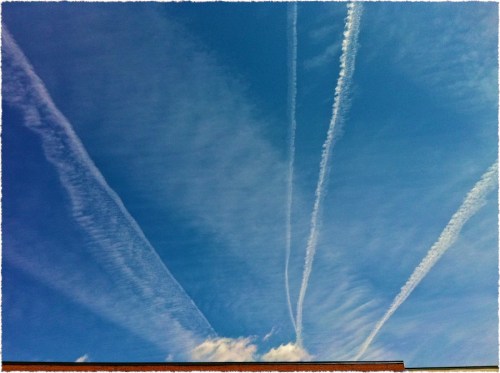 Fighterexcercisebsizedborder