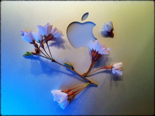 Img_7064bsizedborderblue