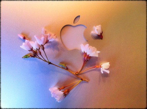 Img_7071bsizedbordergold