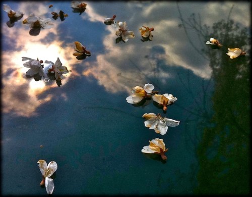 Img_7250bsizedsoftwavy