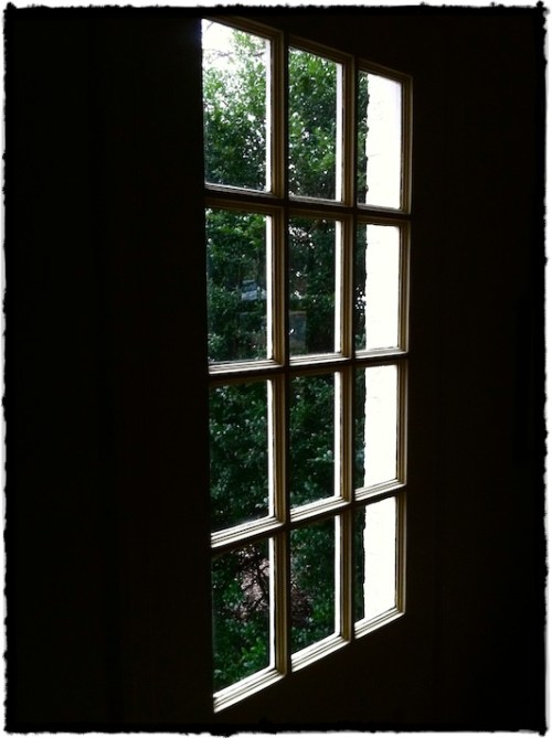 Img_7819bsizedborder