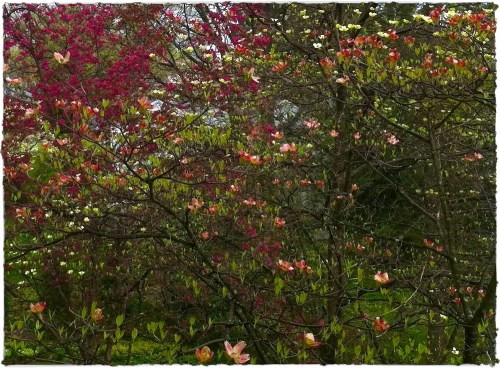 Img_7843bsizedborder_3