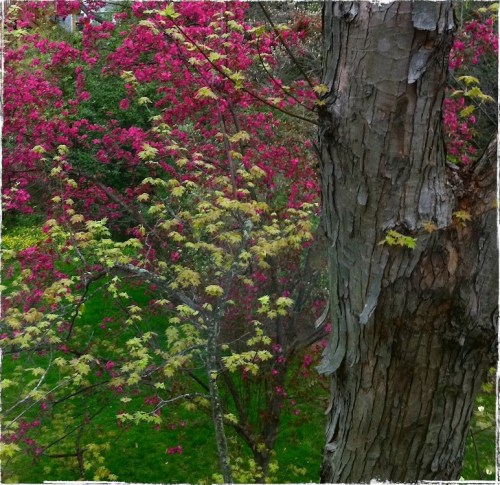 Img_7895bsizedborderexposure