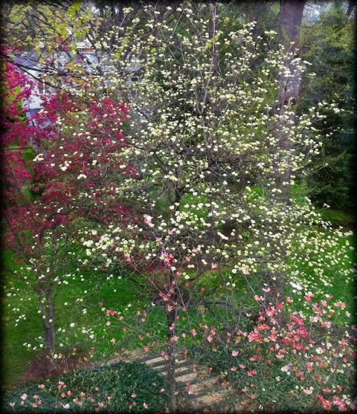 Img_7944bsizedborder