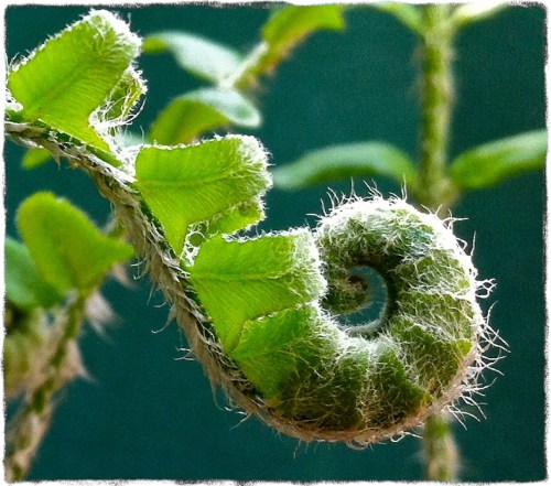 Img_8432bsizedborder