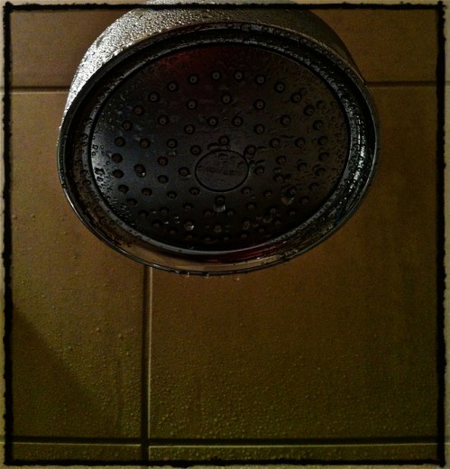 Img_9455bsizedmultiplyborder