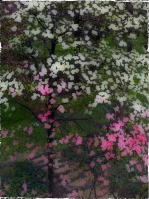 Screengrabgrundgyborder