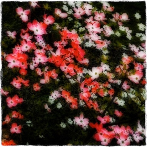 Warholhomage3bsized_border