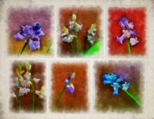 Watercolorflowersfullsetbordera
