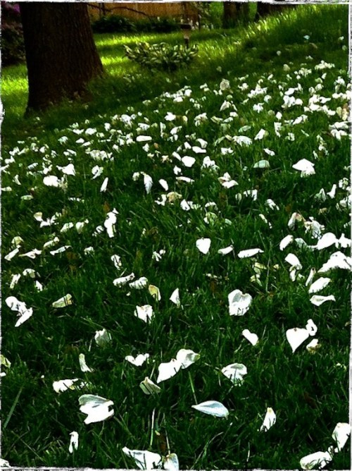 Anotherkindofautumnsizedgrundg