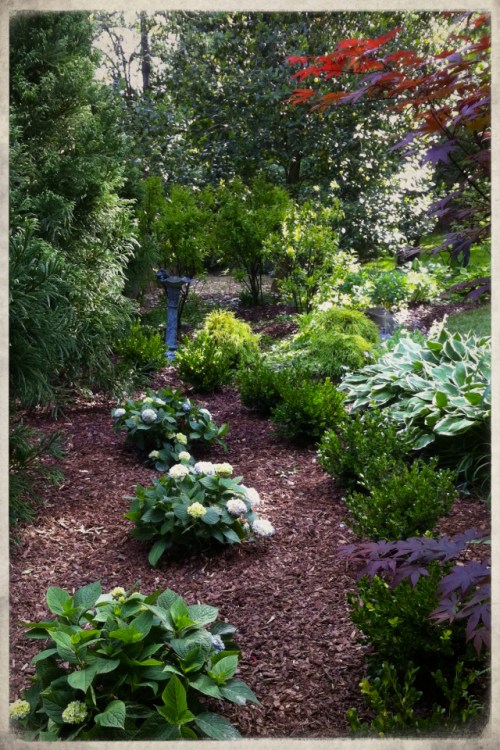 Gardenpath2roughprint