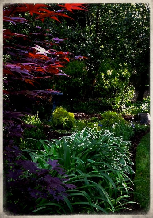 Img_0135bbokehtwobroughtprint