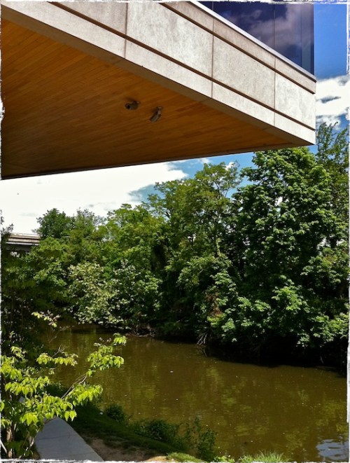 Img_0178bsizedborder2