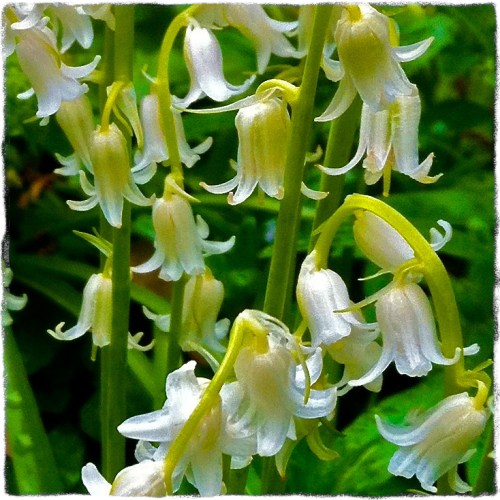 Img_9732bsecondcropgrit