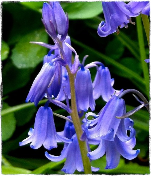 Img_9737secondcropgrit