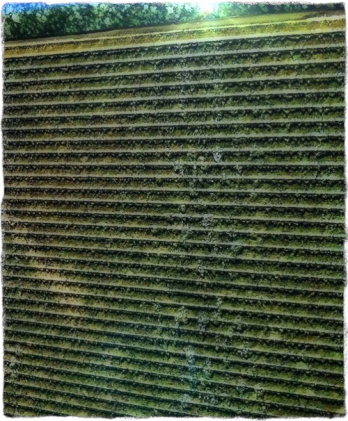 Waterwallfountaingrit