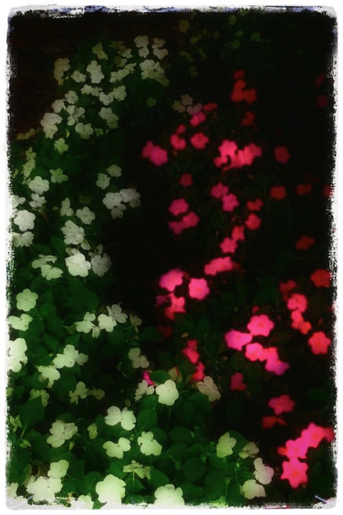 Enfused3stipplehairy