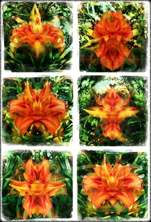 Fleurdumal3sizedjapanesepaper