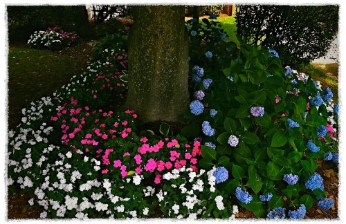 Flowerbedoriginallohoinvertedt