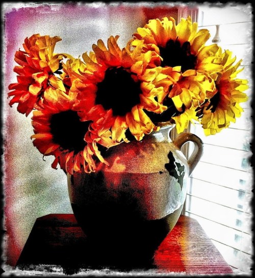 Hdrsunflowerstextured2