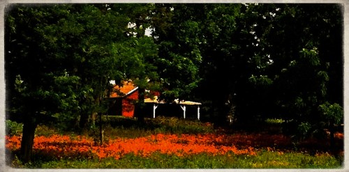 Img_1965boverlayborderdetail2b