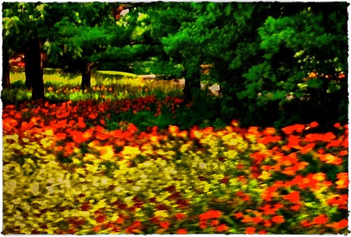 Processeddetail_cropborder