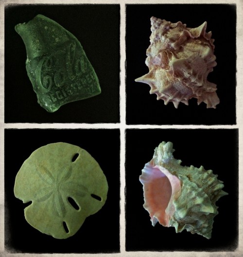 Timeandtideseriessizedborder