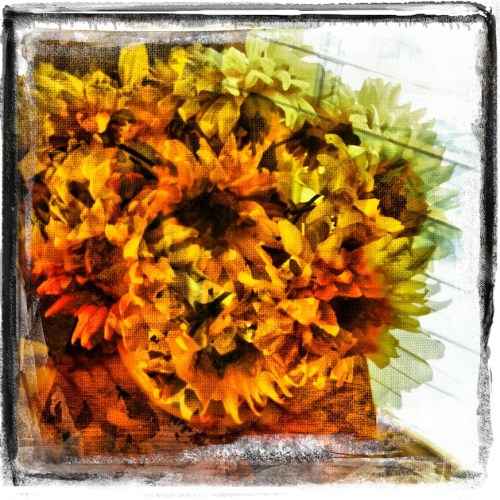 Daliflowersfinalsizedfilmtrans