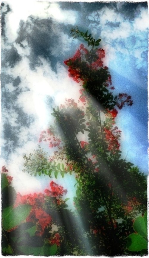 Img_3876b_dl3detailrays3oldpapergrit_2