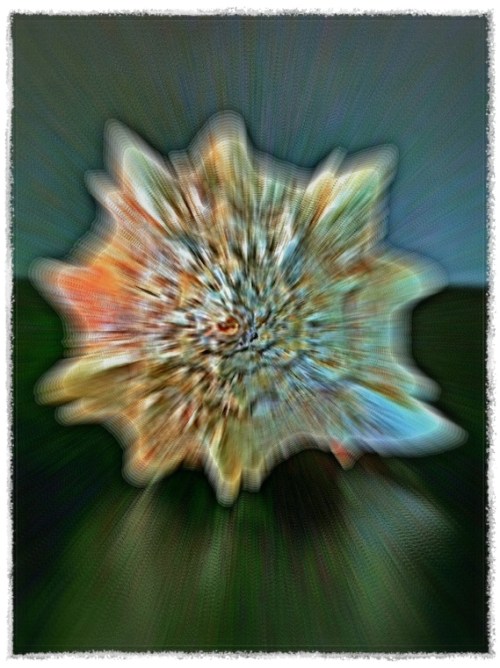 Shorewars2invertedtwostep