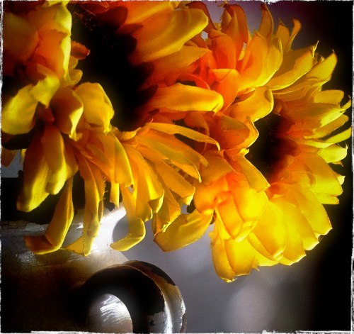 Sunflowers072711finalgrundgy