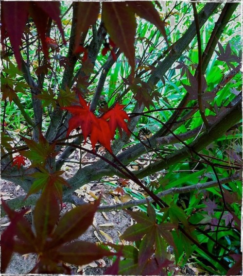 Autumnpreludeenfusionaltcomposite4grundgysized