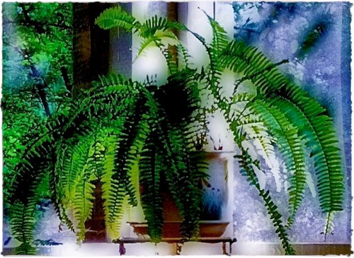 Colorporchenfusion2brushup