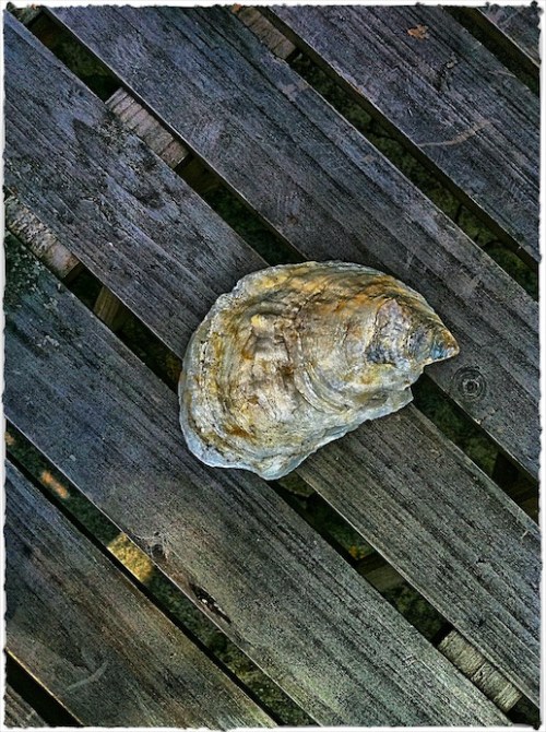 Img_4893bbokeh3brushup