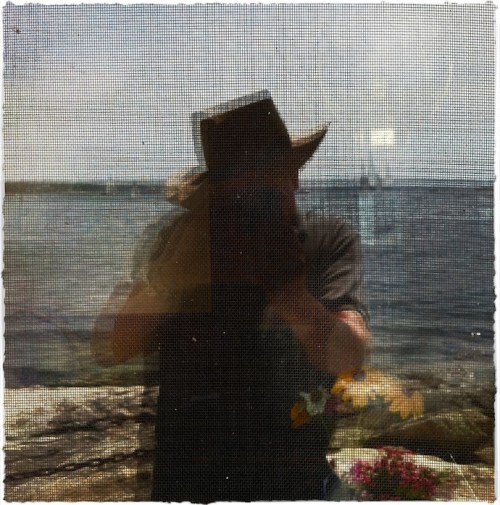 Img_4966bbokeh2brushup