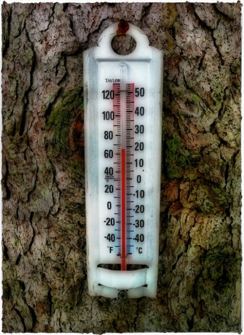 Img_5296b_dl2_dl3brushup