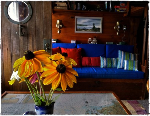 Img_5435b2bokeh2bbrushup