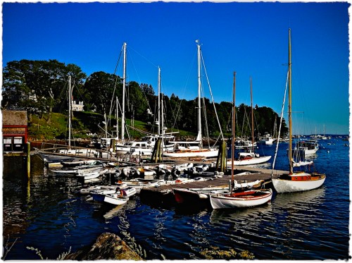 Img_6178bsizedlomobrushup