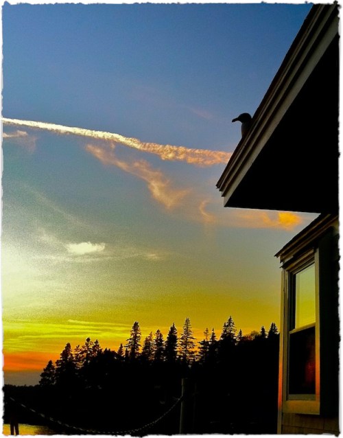 Img_6368bsizedbrushup