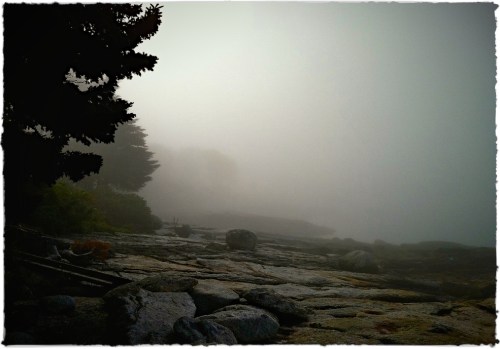 Img_6518blomobrushup