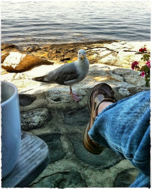 Morningmeetingwithgaylord2brus