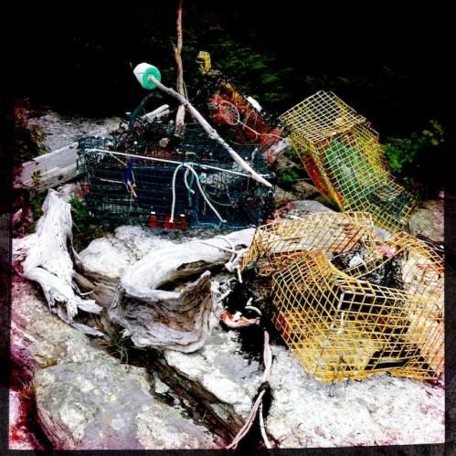 Polychromelobsterpotwreckage1