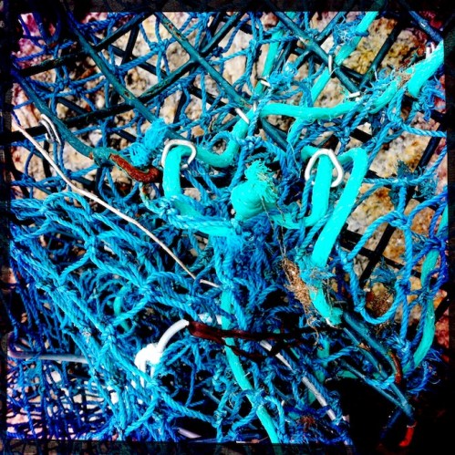 Polychromelobsterpotwreckage10