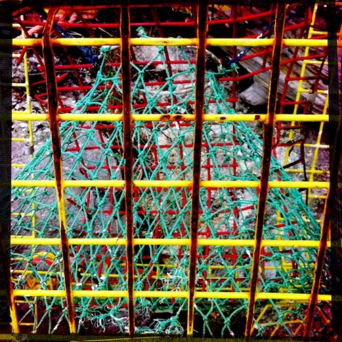 Polychromelobsterpotwreckage11