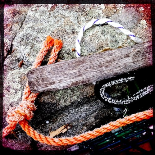 Polychromelobsterpotwreckage13