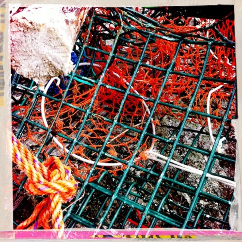 Polychromelobsterpotwreckage14